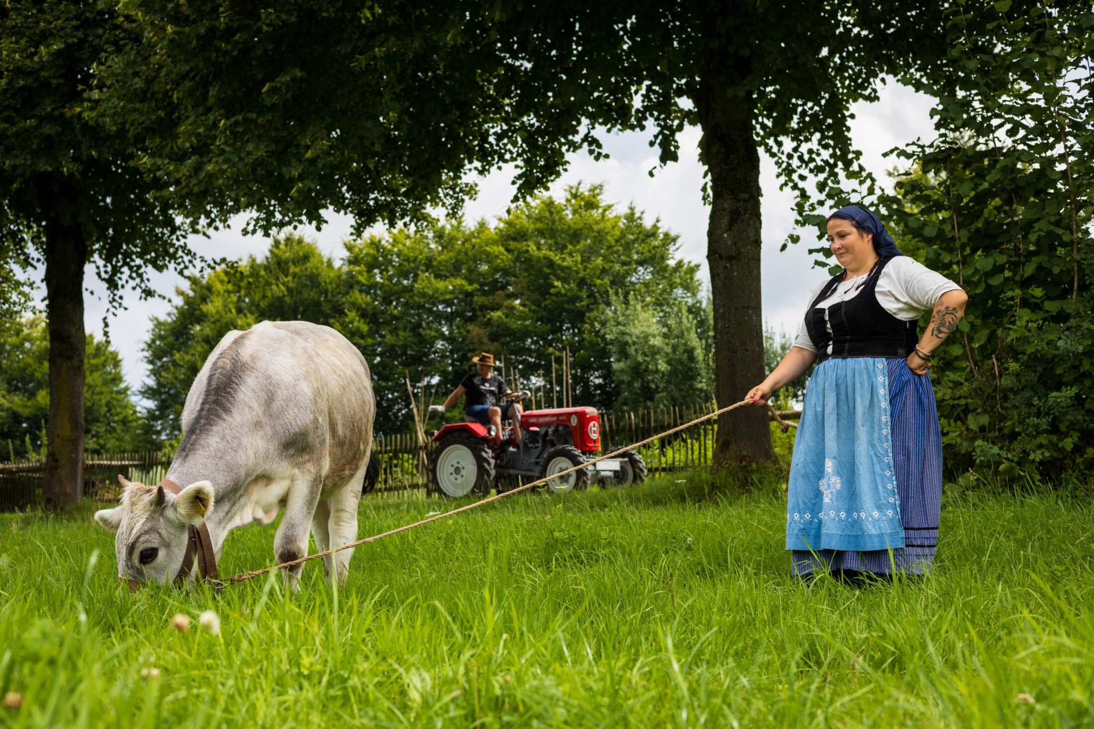 Landliebe