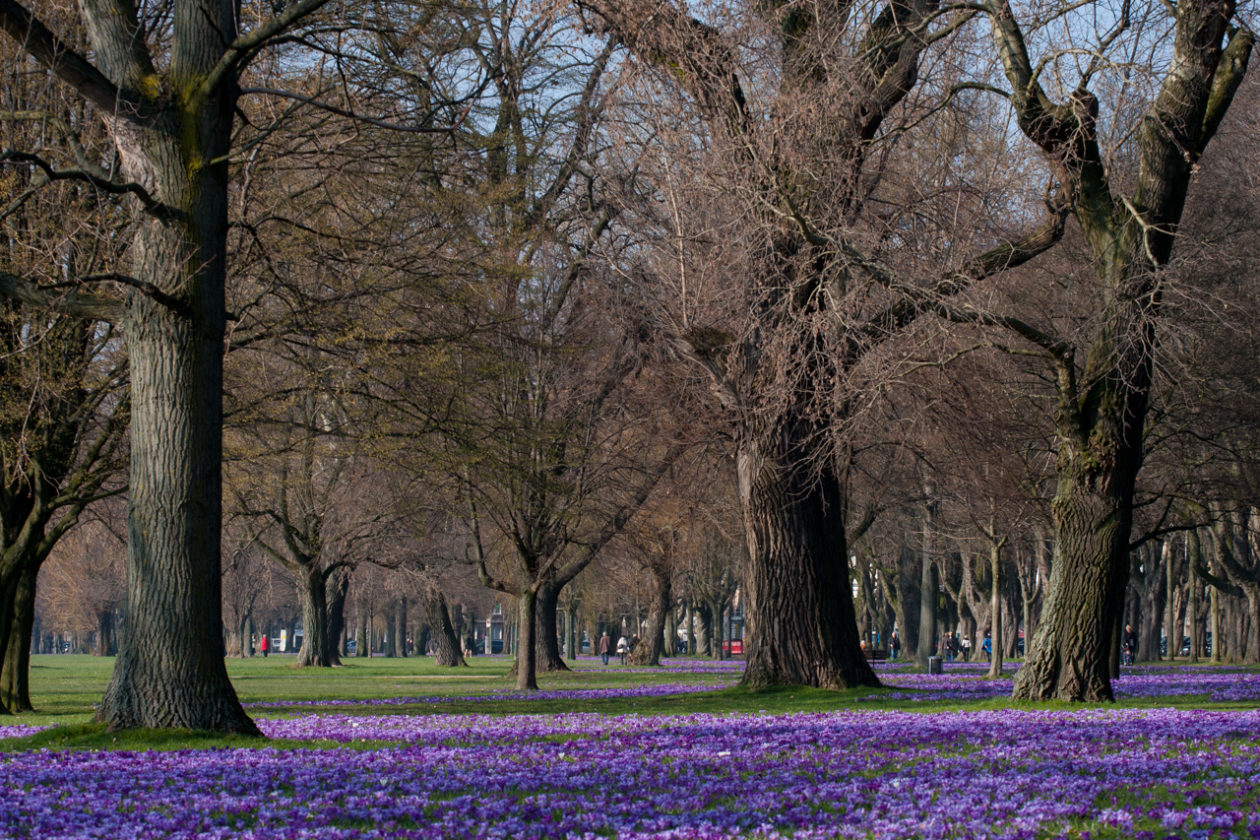 Der Frühling ist da ein Kurztrip durch Düsseldorf Auf